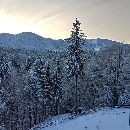 Dor Apartment Poiana Brasov Eksteriør billede