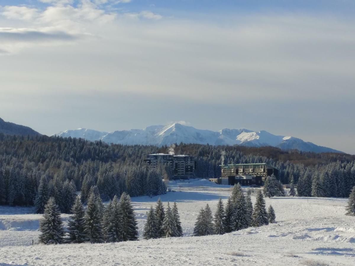 Dor Apartment Poiana Brasov Eksteriør billede