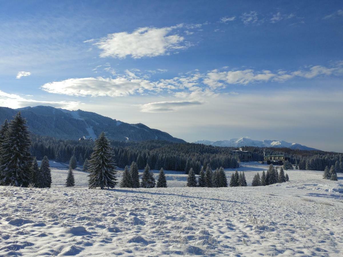 Dor Apartment Poiana Brasov Eksteriør billede