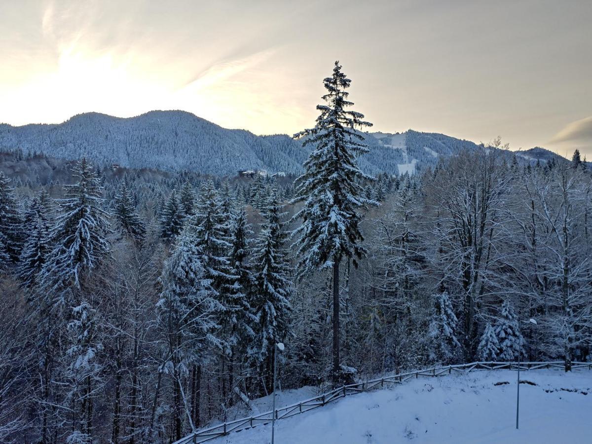 Dor Apartment Poiana Brasov Eksteriør billede